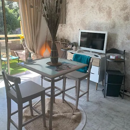 Apartment Luxurious In 450m From Sea With Terrace And Air Conditioning And Private Parking Cannes