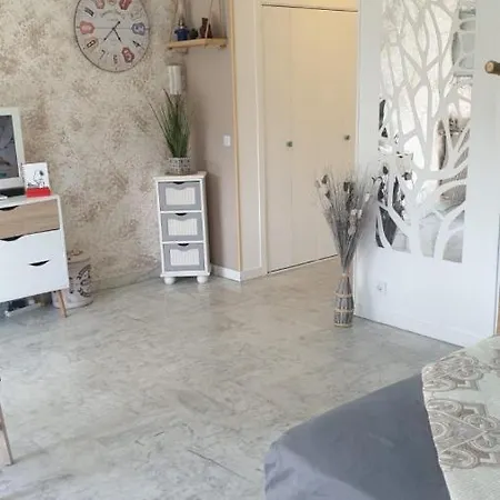 Apartment Luxurious In 450m From Sea With Terrace And Air Conditioning And Private Parking