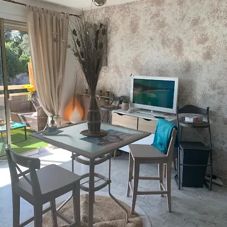 Luxurious In 450m From Sea With Terrace And Air Conditioning And Private Parking Apartment Cannes